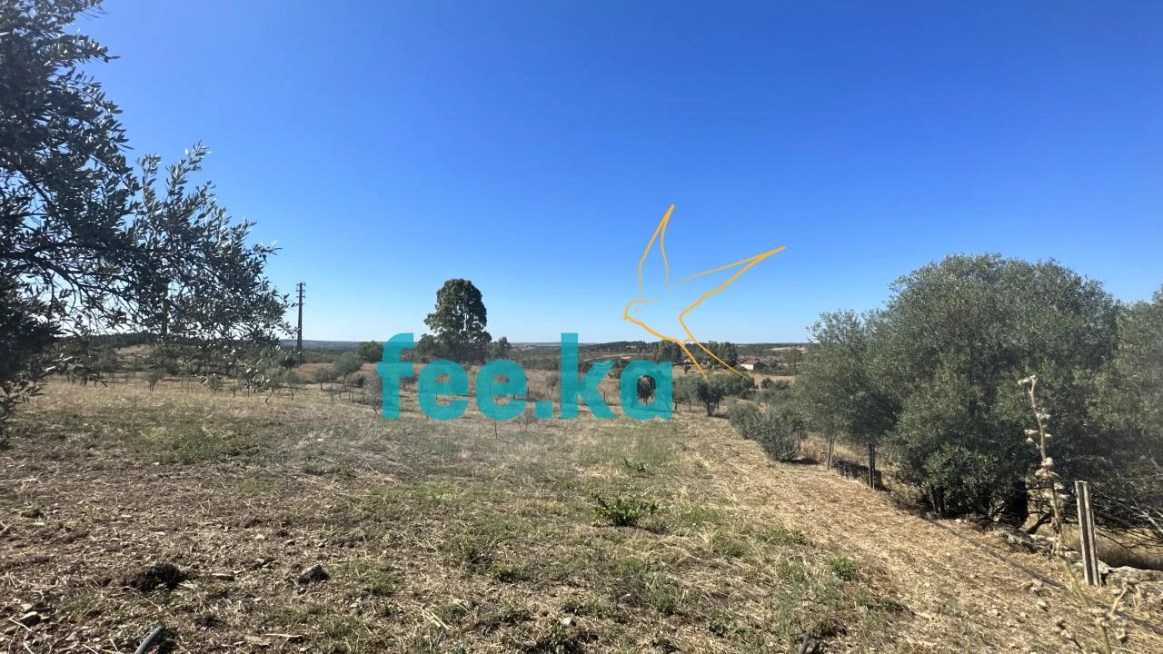 Quinta para Venda em Monfortinho e Salvaterra do Extremo Foto 14