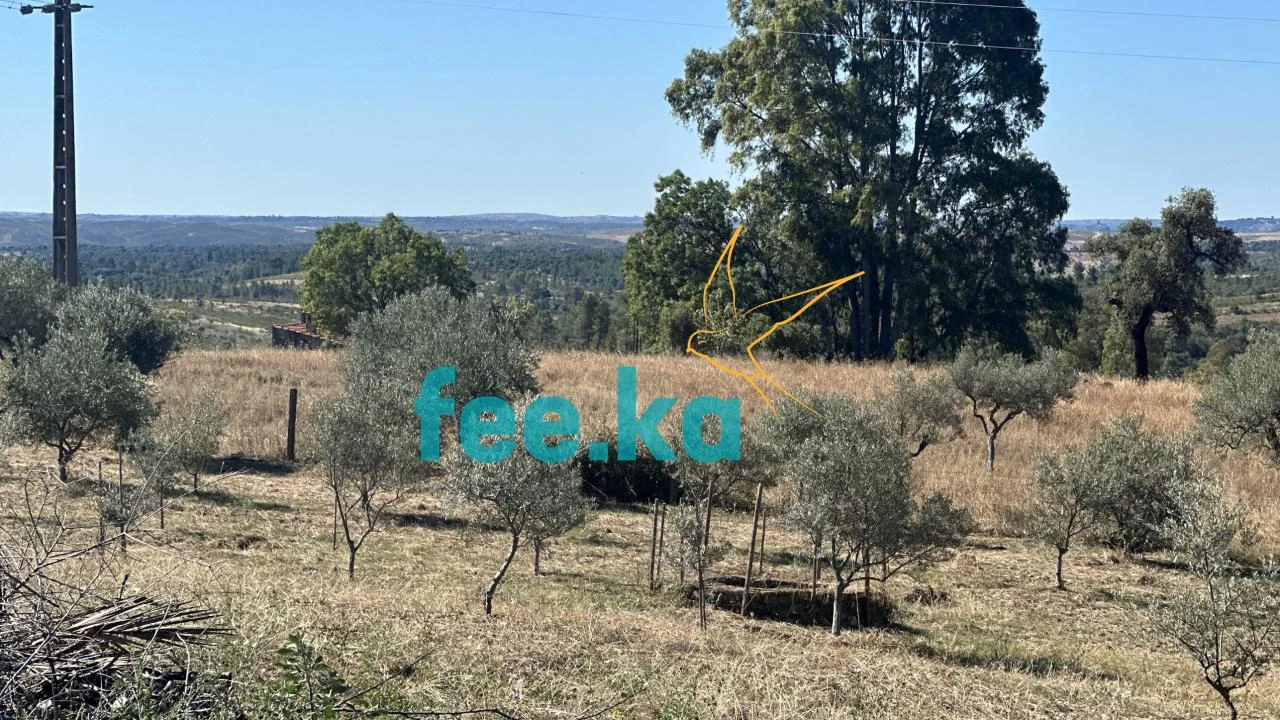 Quinta para Venda em Monfortinho e Salvaterra do Extremo Foto 16