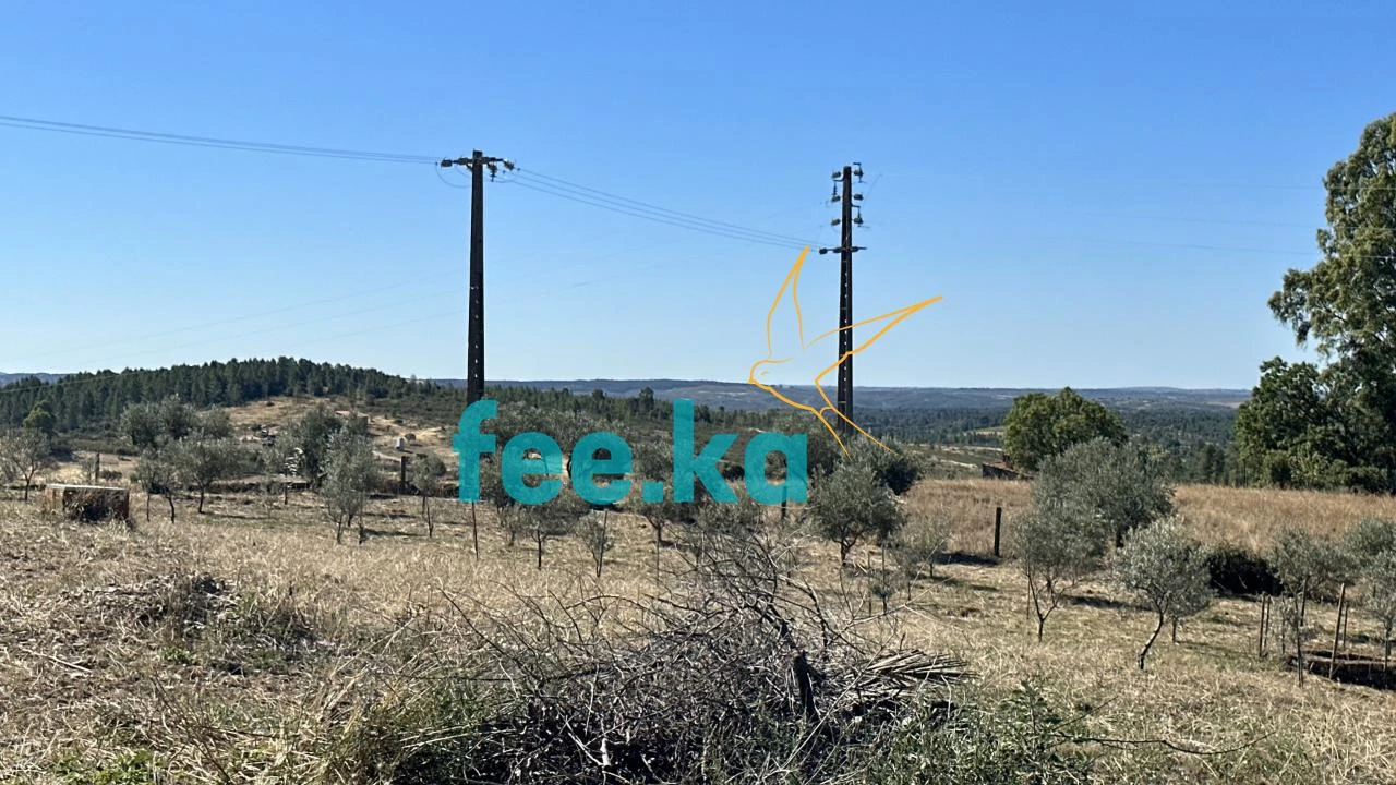 Quinta para Venda em Monfortinho e Salvaterra do Extremo Foto 17