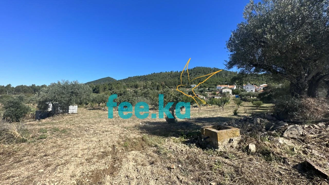 Quinta para Venda em Monfortinho e Salvaterra do Extremo Foto 3