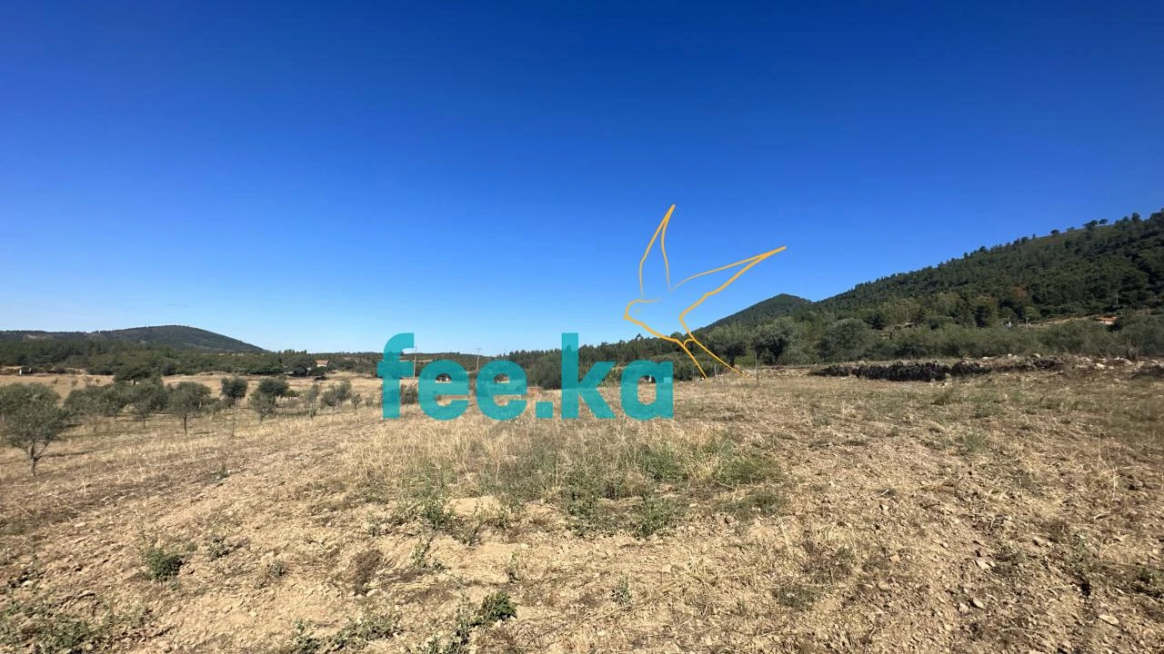 Quinta para Venda em Monfortinho e Salvaterra do Extremo Foto 19