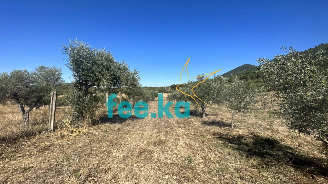 Quinta para Venda em Monfortinho e Salvaterra do Extremo Foto 24