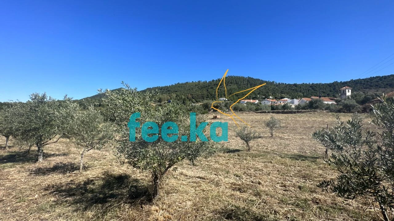 Quinta para Venda em Monfortinho e Salvaterra do Extremo Foto 25