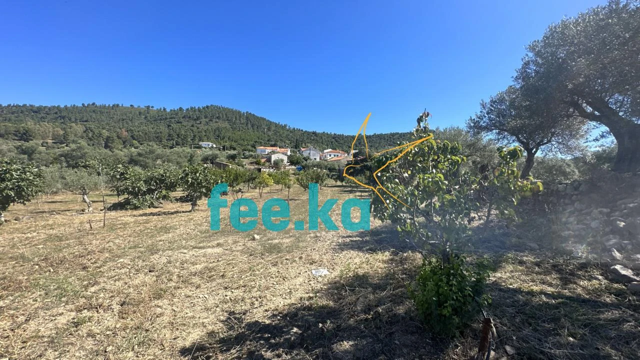 Quinta para Venda em Monfortinho e Salvaterra do Extremo Foto 29