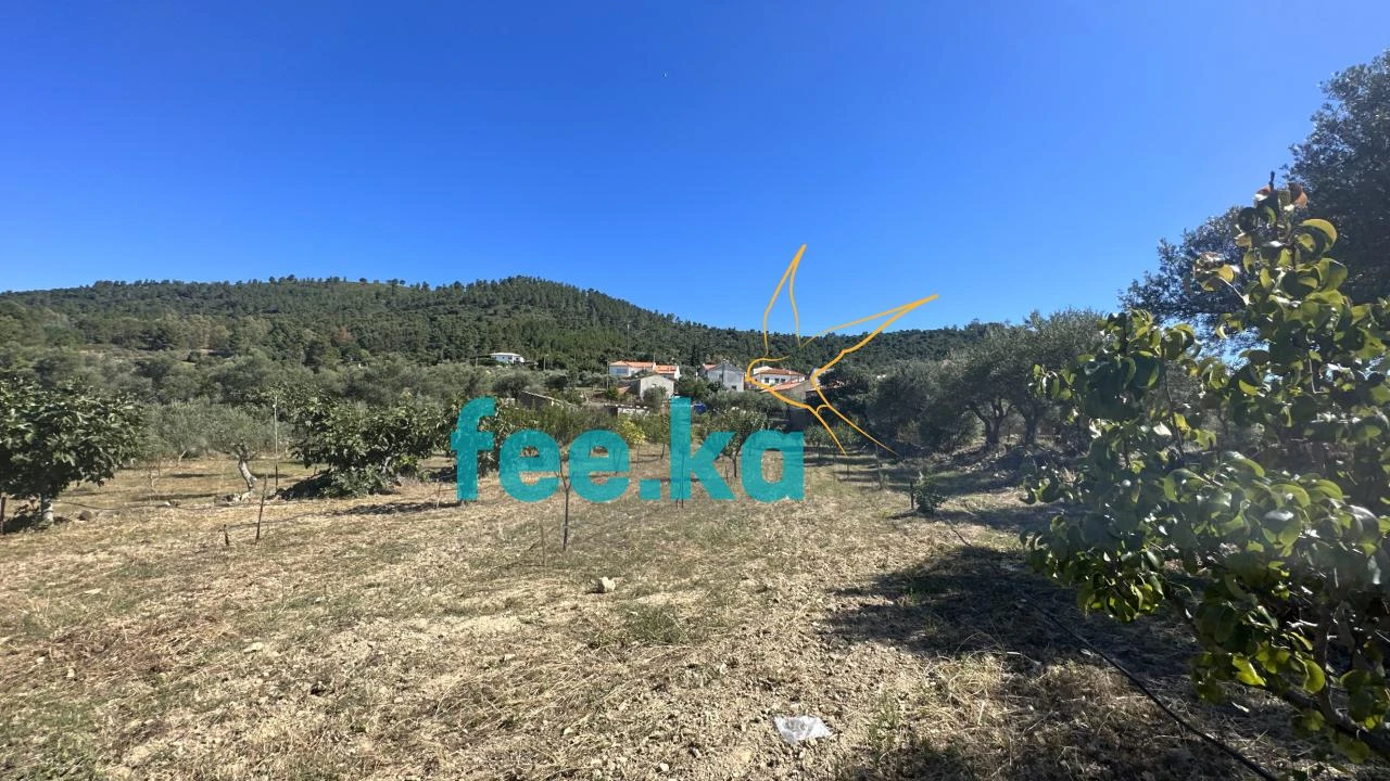 Quinta para Venda em Monfortinho e Salvaterra do Extremo Foto 30