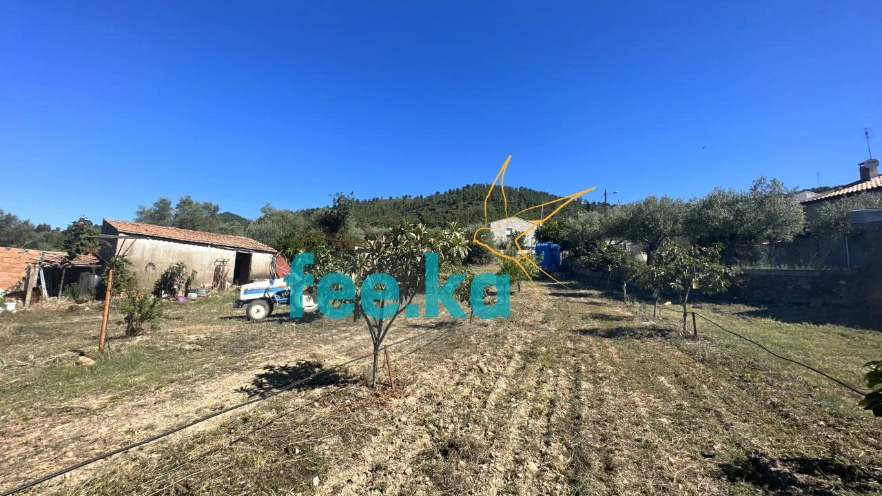 Quinta para Venda em Monfortinho e Salvaterra do Extremo Foto 1