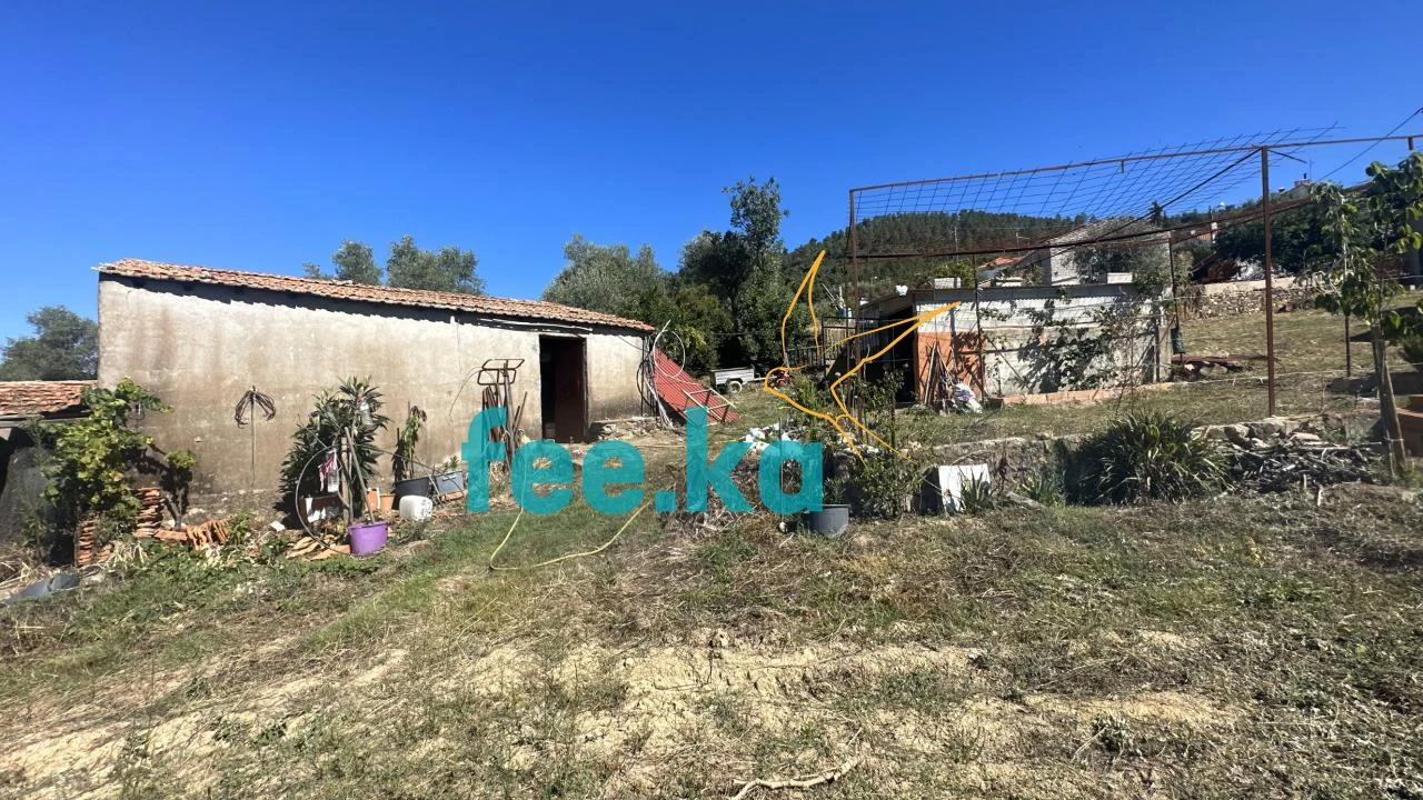 Quinta para Venda em Monfortinho e Salvaterra do Extremo Foto 4