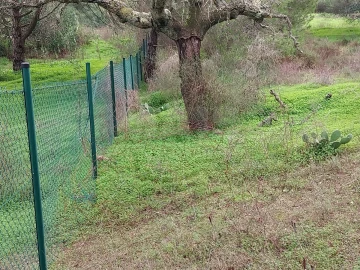 Terreno para Venda em Almancil