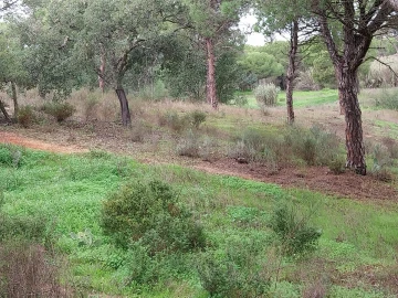 Terreno para Venda em Almancil