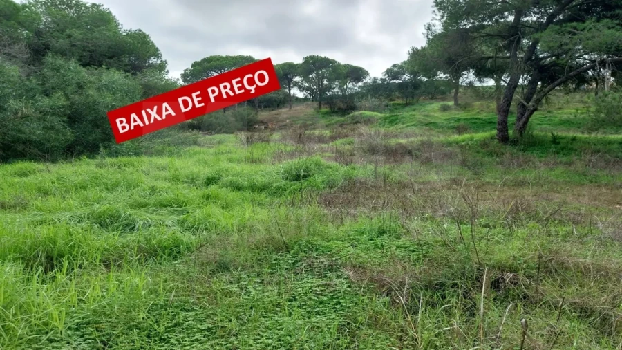 Terreno para Venda em Almancil Foto 2