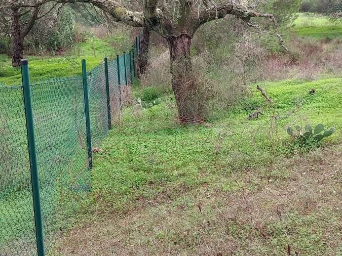 Terreno para Venda em Almancil Foto 10