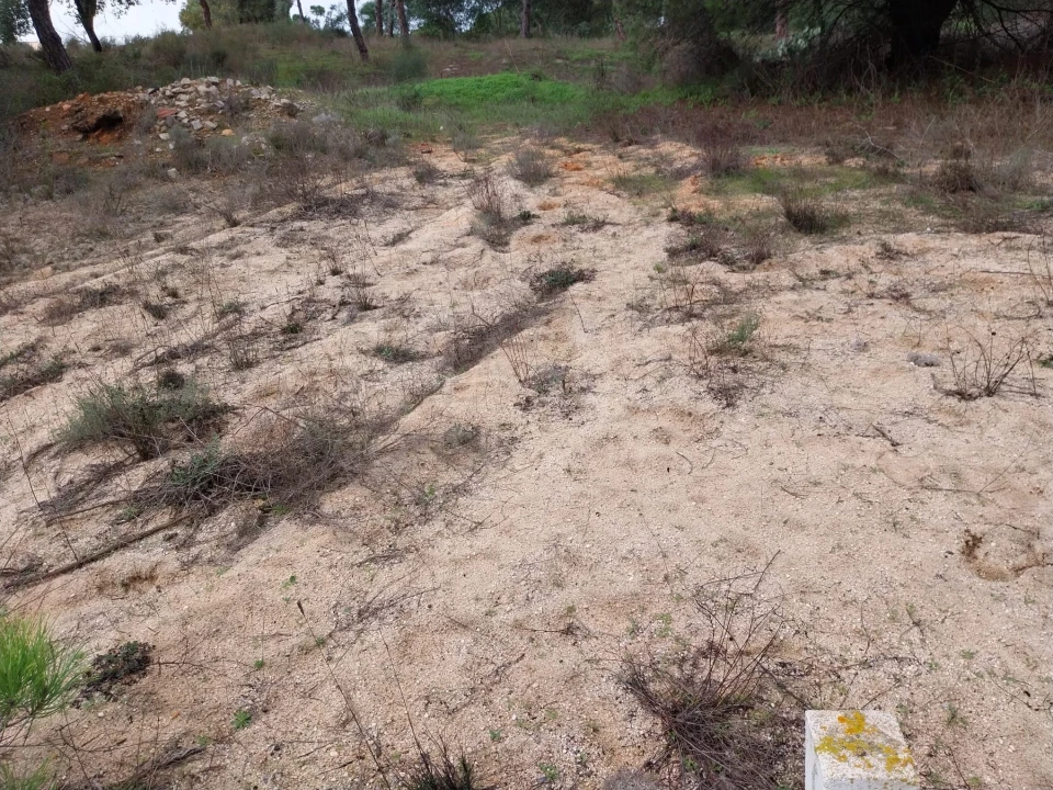 Terreno para Venda em Almancil Foto 1