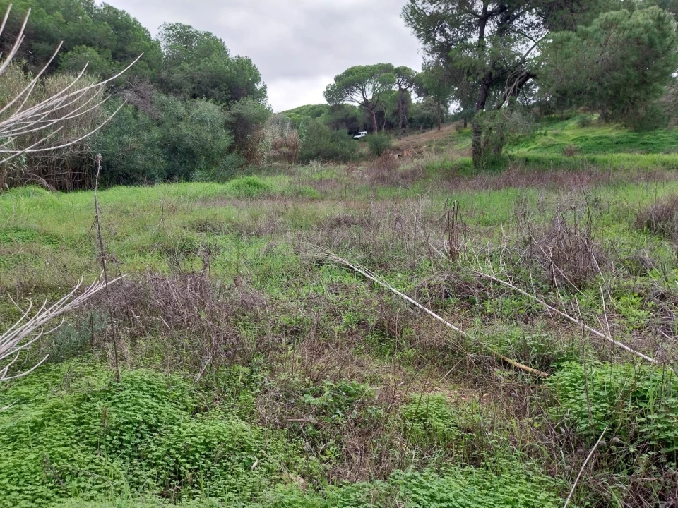 Terreno para Venda em Almancil Foto 12