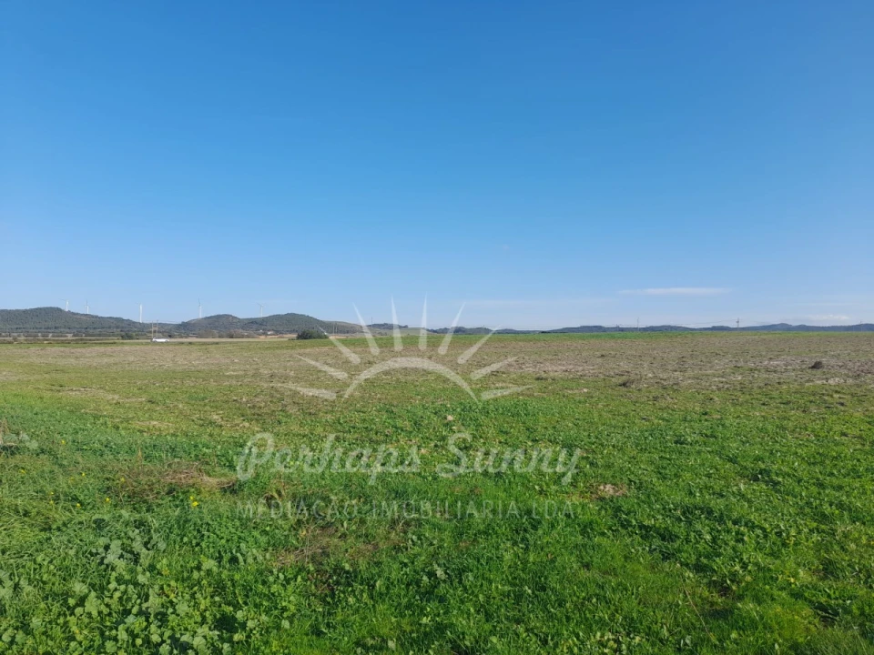 Terreno para Venda em Porto Covo Foto 2