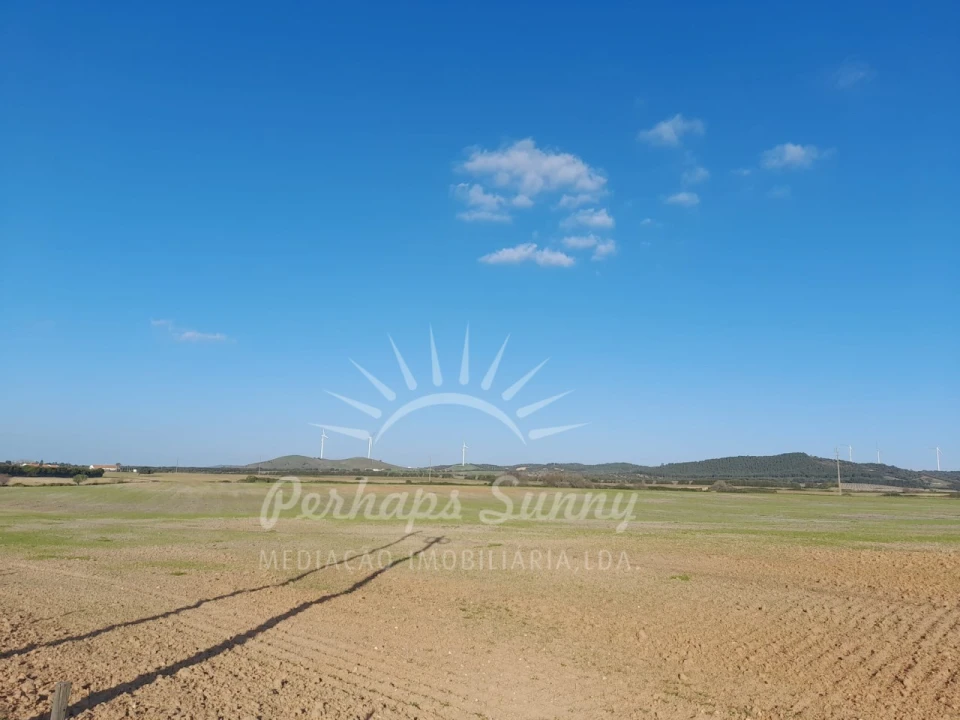 Terreno para Venda em Porto Covo Foto 6