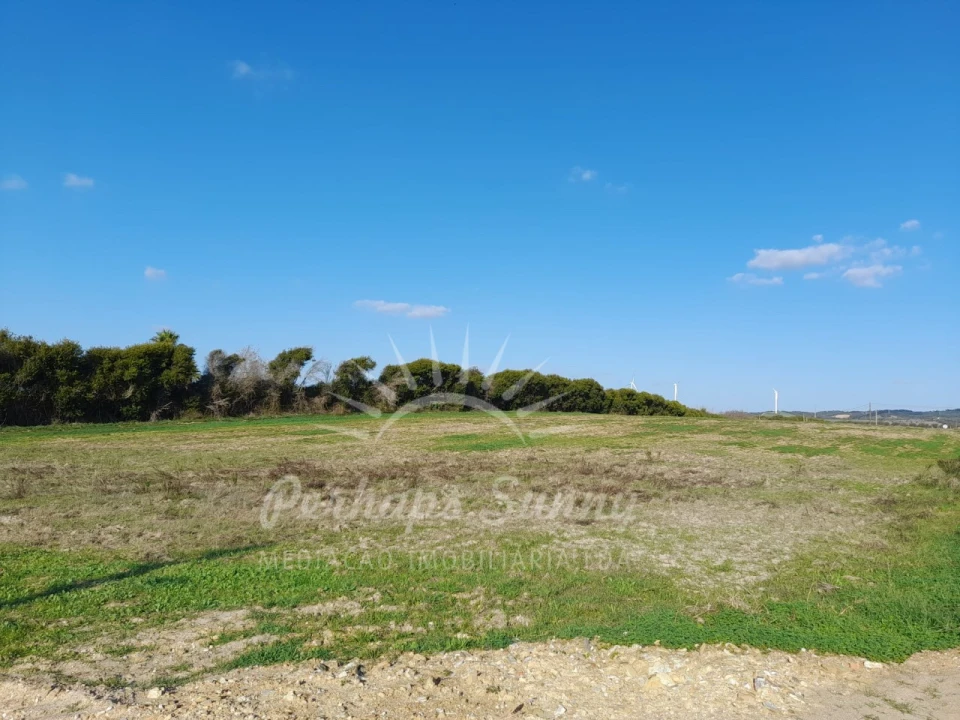Terreno para Venda em Porto Covo Foto 15