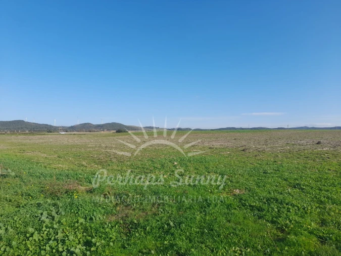Terreno para Venda em Porto Covo Foto 2