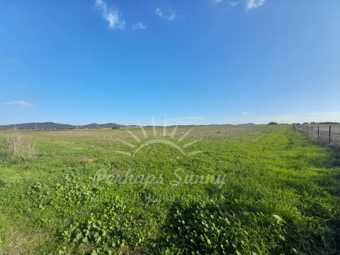 Terreno para Venda em Porto Covo Foto 16