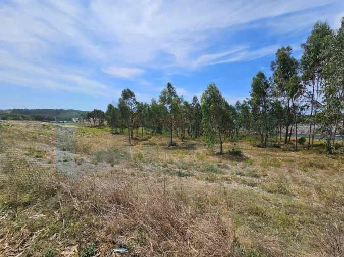 Moradia T2 para Venda em Ramalhal Foto 6