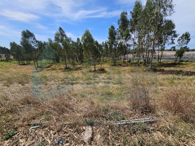 Moradia T2 para Venda em Ramalhal Foto 17