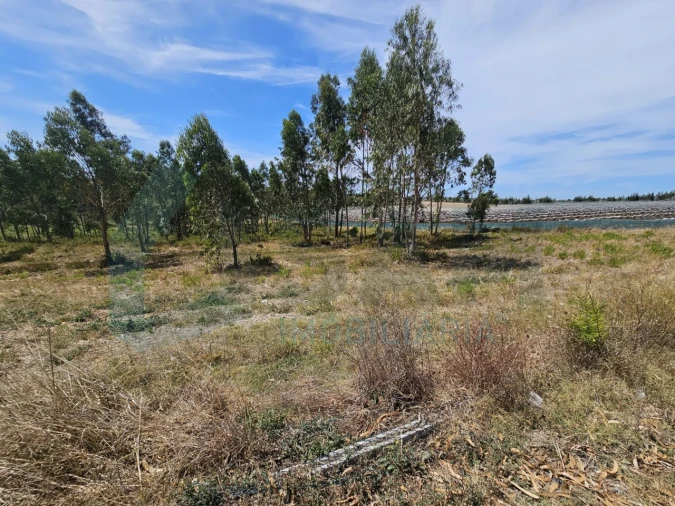 Moradia T2 para Venda em Ramalhal Foto 20