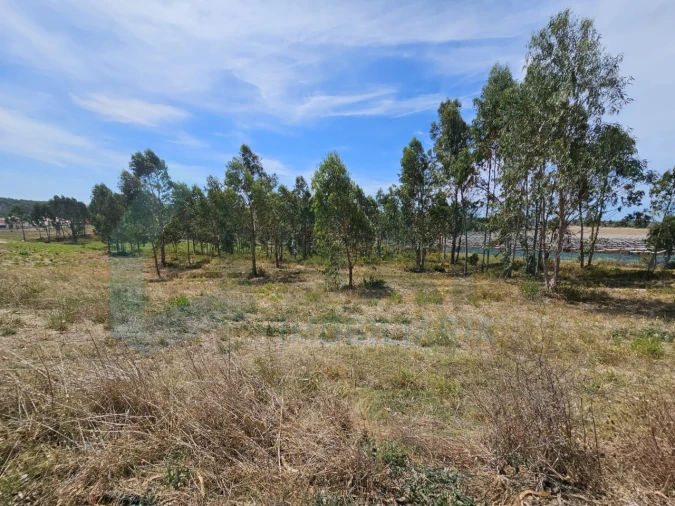 Moradia T2 para Venda em Ramalhal Foto 16