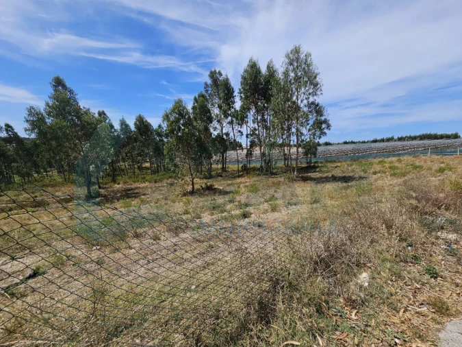 Moradia T2 para Venda em Ramalhal Foto 23