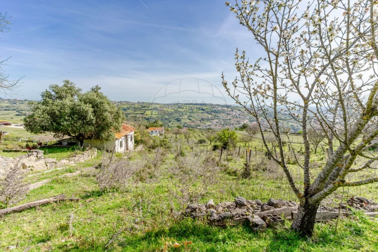 Moradia T3 para Venda em Alhandra, São João dos Montes e Calhandriz Foto 15
