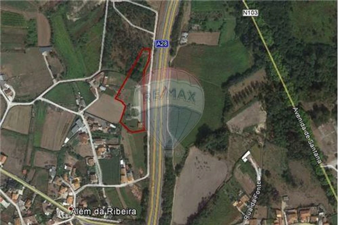 Terreno para Venda em São Romão de Neiva Foto 1