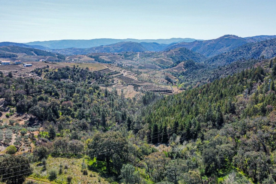 Quinta T0 para Venda em Noura e Palheiros Foto 34