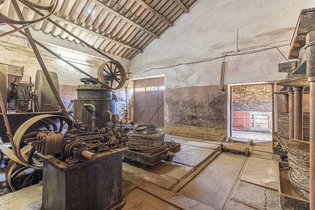 Quinta T0 para Venda em Noura e Palheiros Foto 28