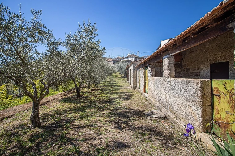 Quinta T0 para Venda em Noura e Palheiros Foto 25