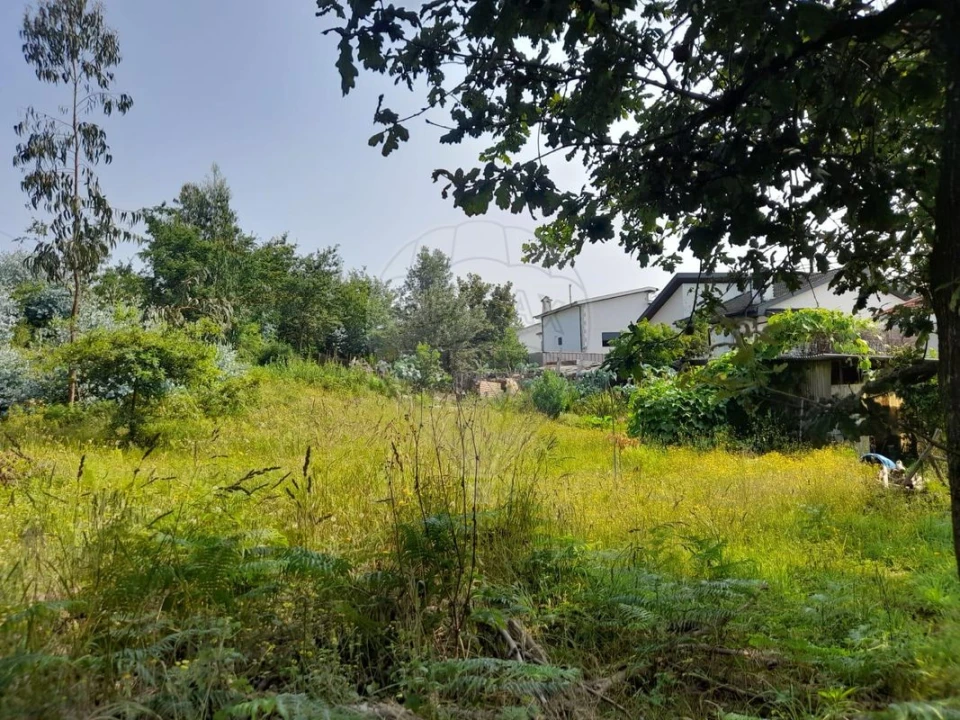 Terreno para Venda em Sande Vila Nova e Sande São Clemente Foto 5