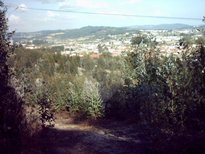 Terreno para Venda em Sande Vila Nova e Sande São Clemente Foto 14