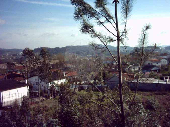 Terreno para Venda em Sande Vila Nova e Sande São Clemente Foto 16