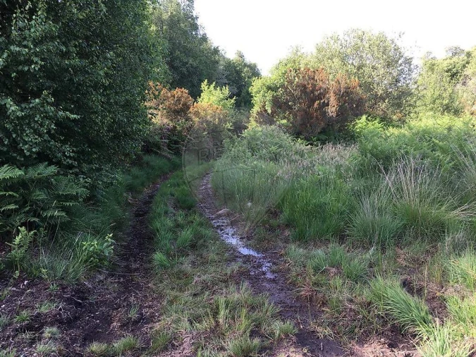Terreno para Venda em Sande Vila Nova e Sande São Clemente Foto 10
