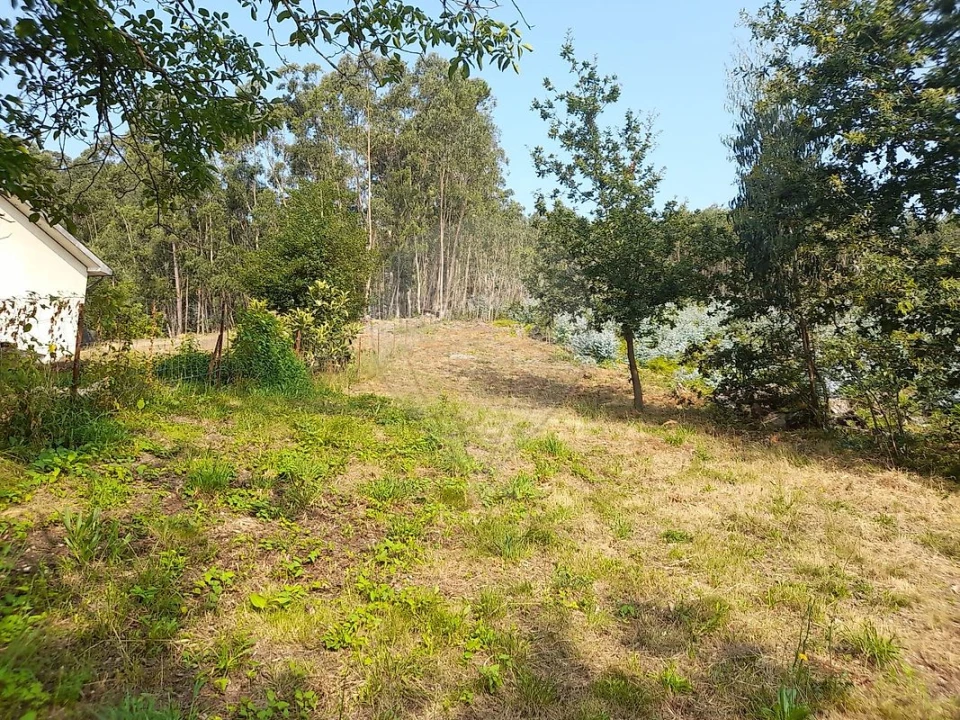 Terreno para Venda em Sande Vila Nova e Sande São Clemente Foto 6