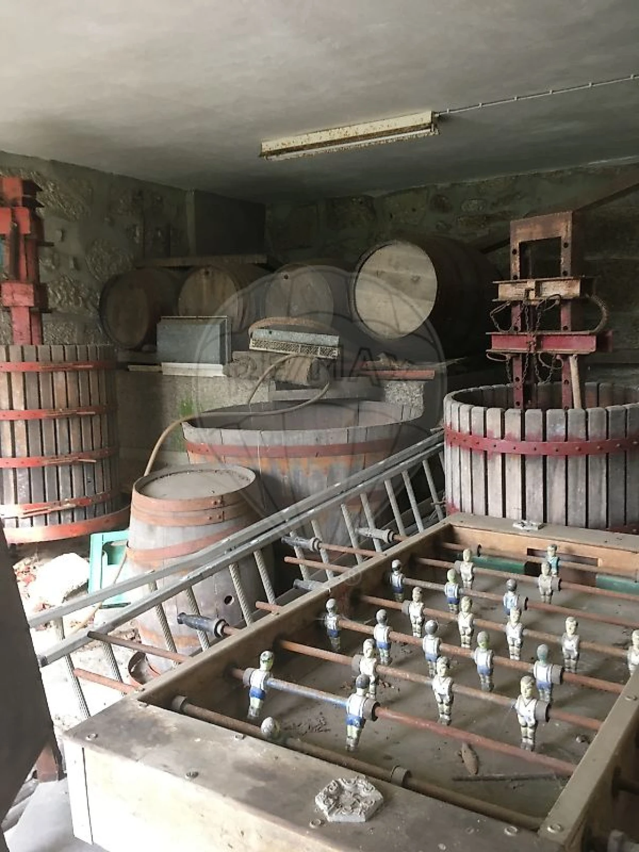 Quinta T9 para Venda em Baltar Foto 9