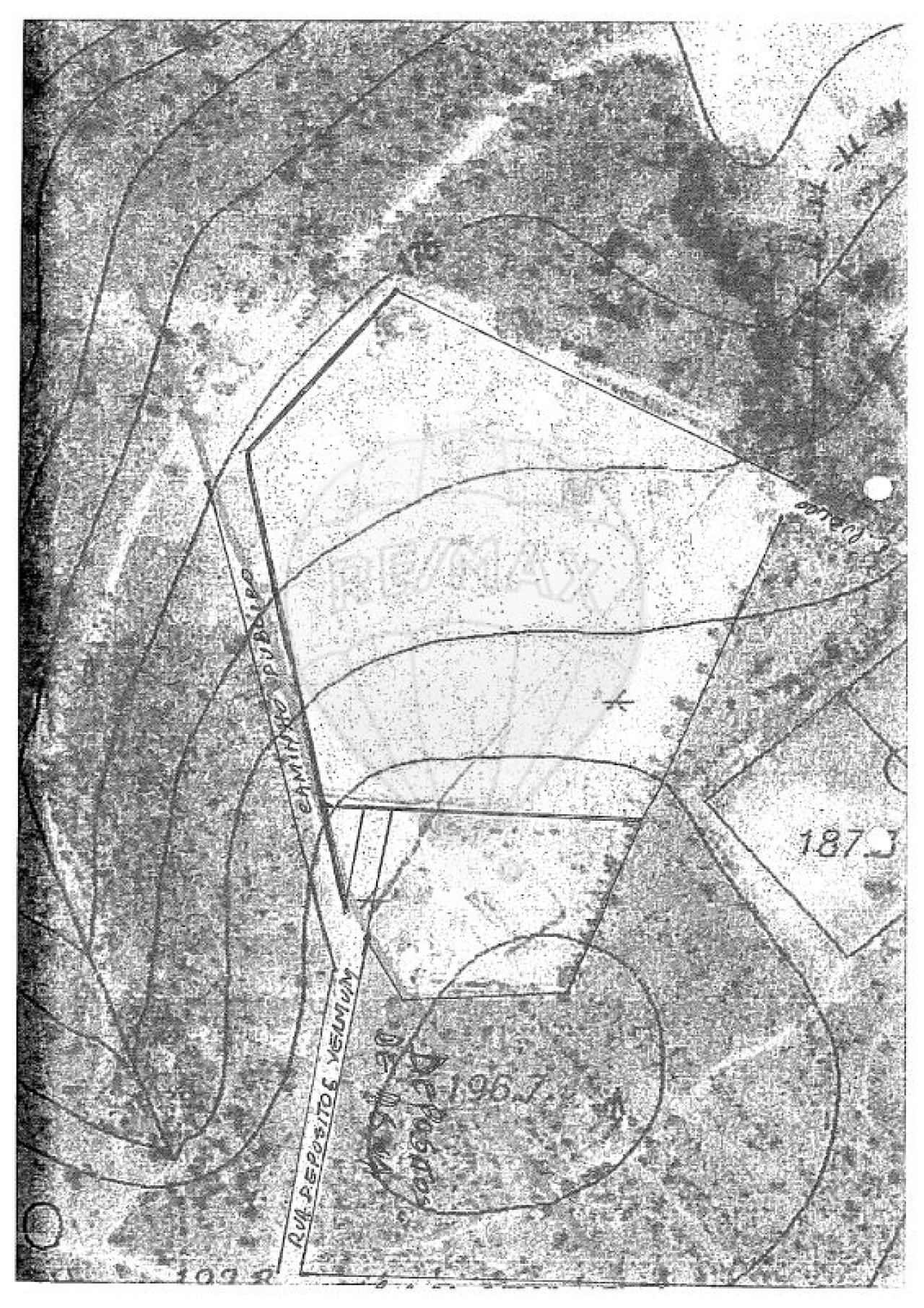 Terreno para Venda em Carreira e Refojos de Riba de Ave Foto 5