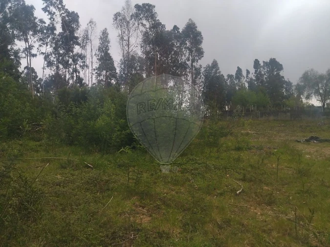 Terreno para Venda em Carreira e Refojos de Riba de Ave Foto 3