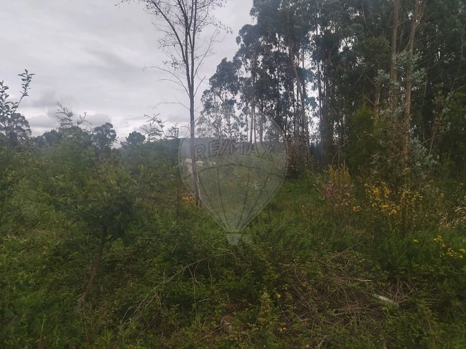 Terreno para Venda em Carreira e Refojos de Riba de Ave Foto 4