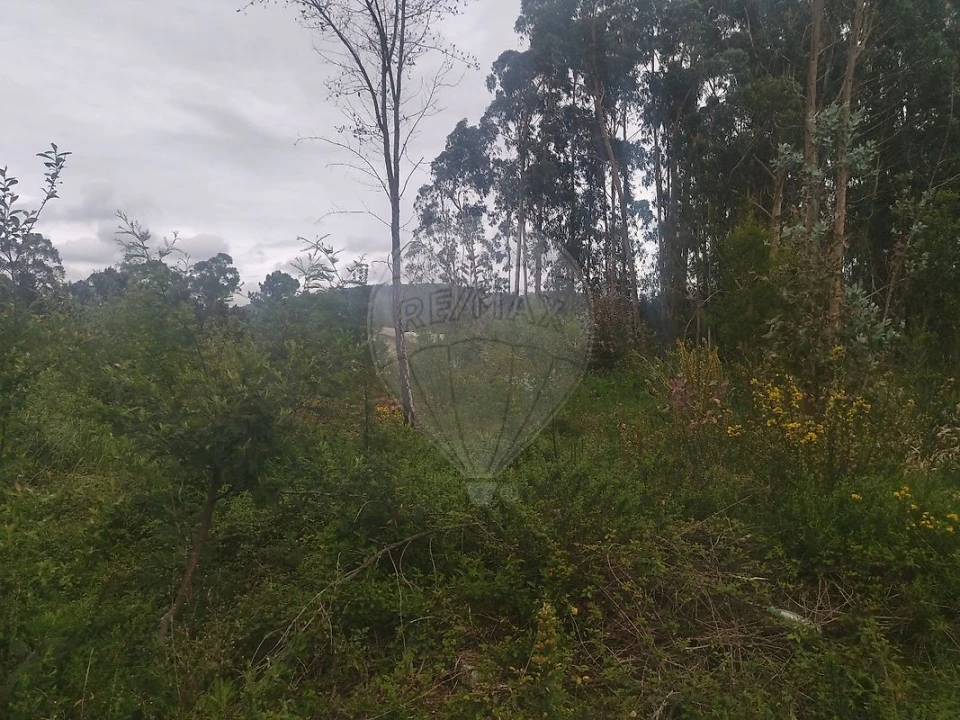 Terreno para Venda em Carreira e Refojos de Riba de Ave Foto 4