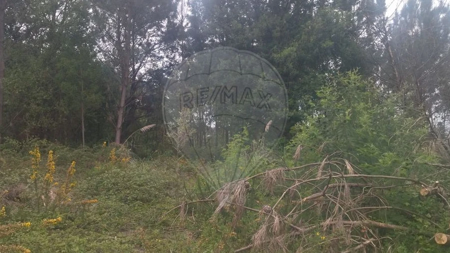 Terreno para Venda em Carreira e Refojos de Riba de Ave