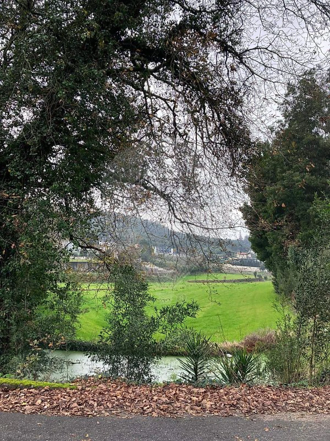 Terreno para Venda em Gondifelos, Cavalões e Outiz Foto 5