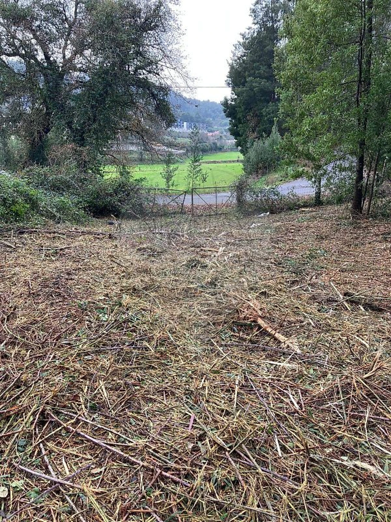 Terreno para Venda em Gondifelos, Cavalões e Outiz Foto 7
