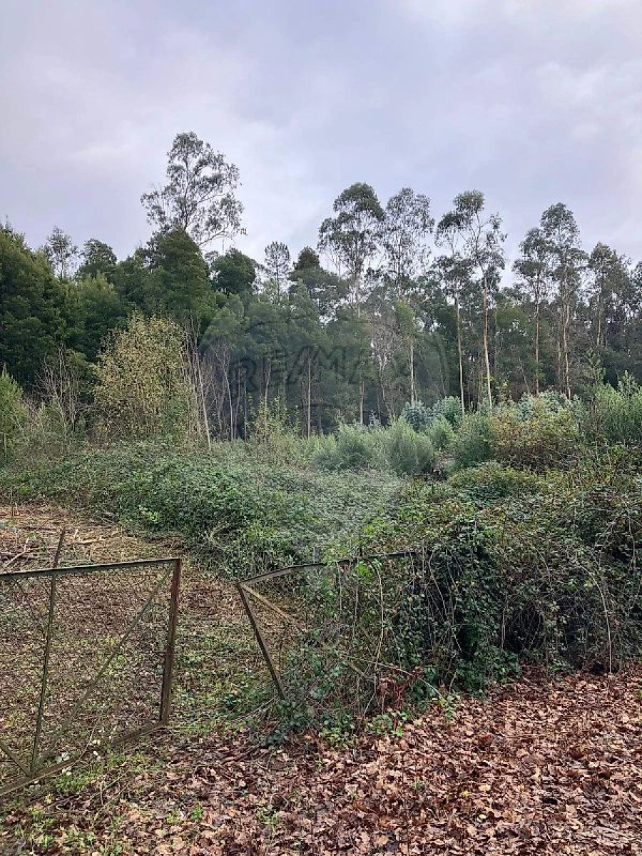 Terreno para Venda em Gondifelos, Cavalões e Outiz Foto 2