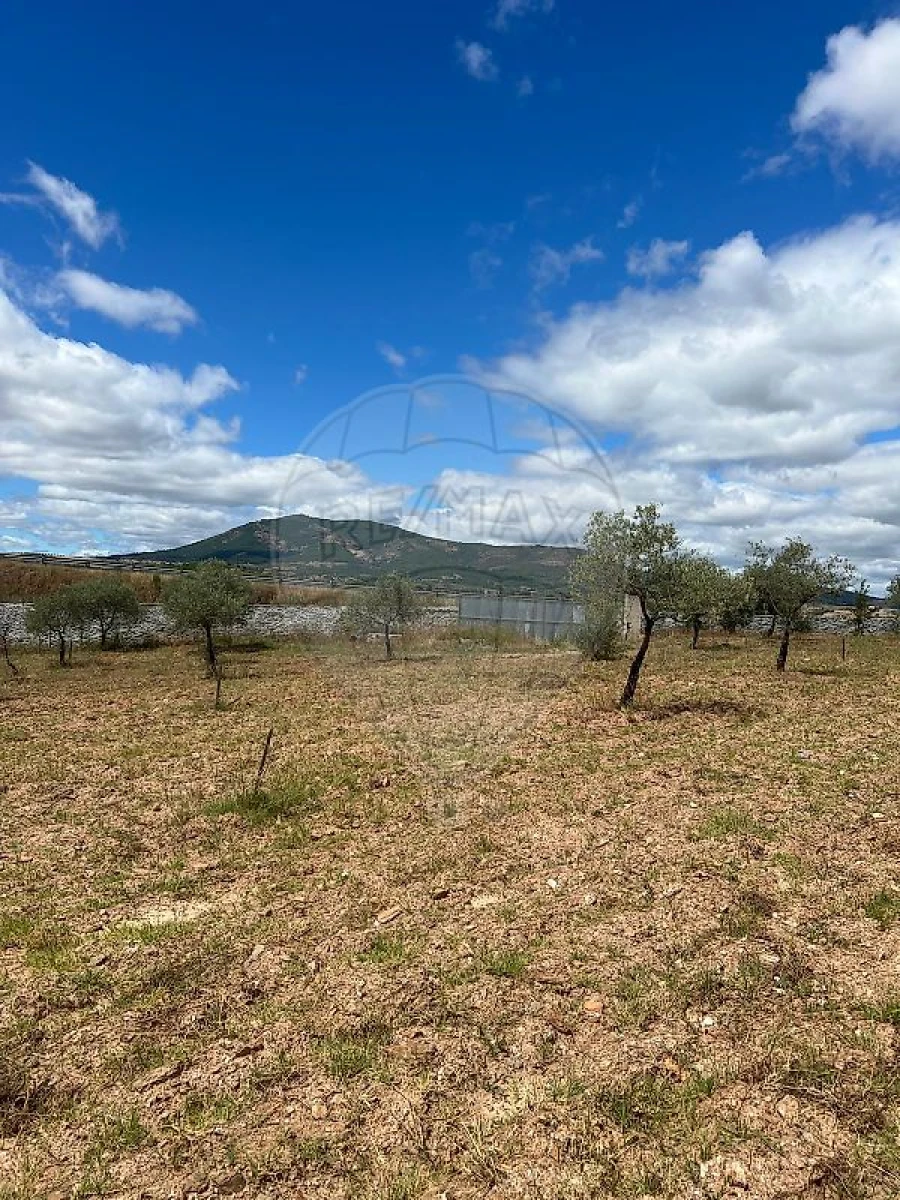 Terreno para Venda em Suçães Foto 5