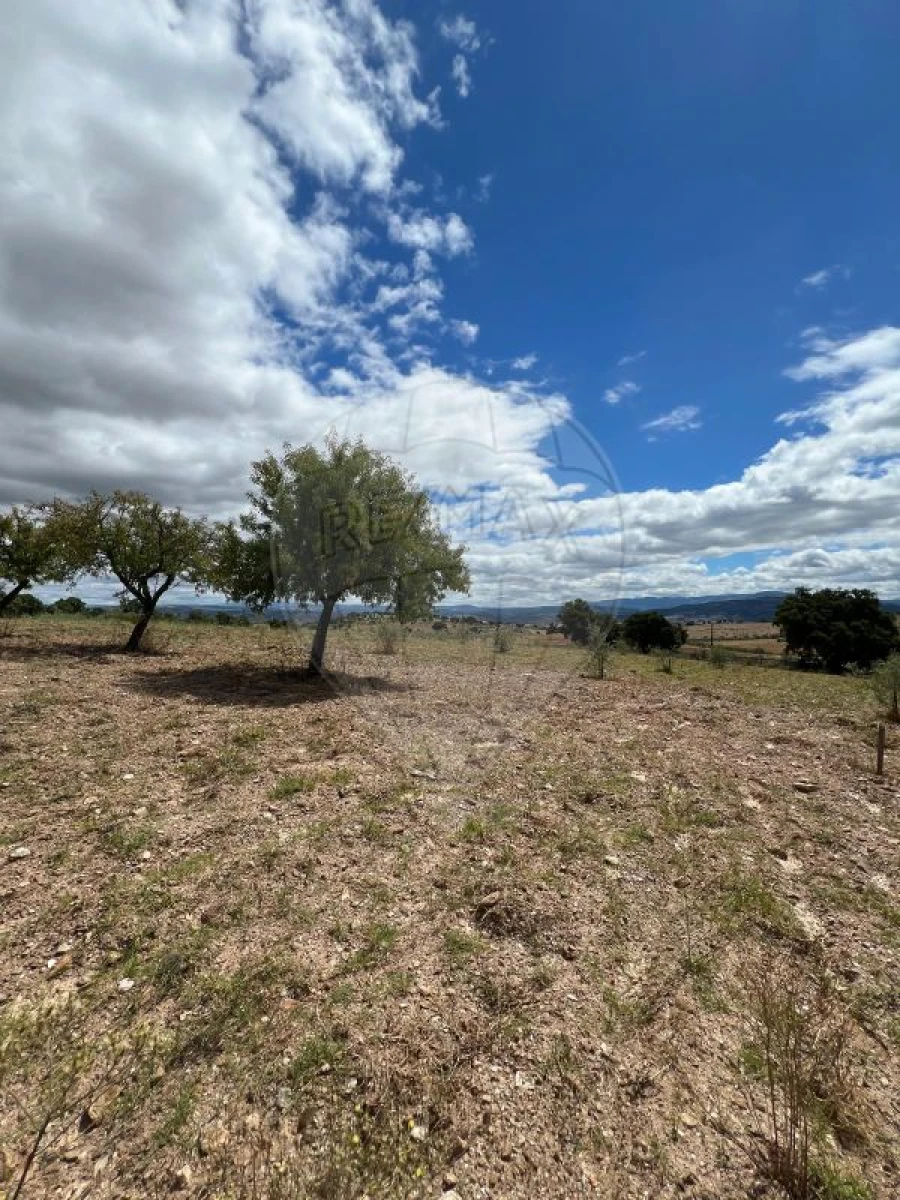 Terreno para Venda em Suçães Foto 6