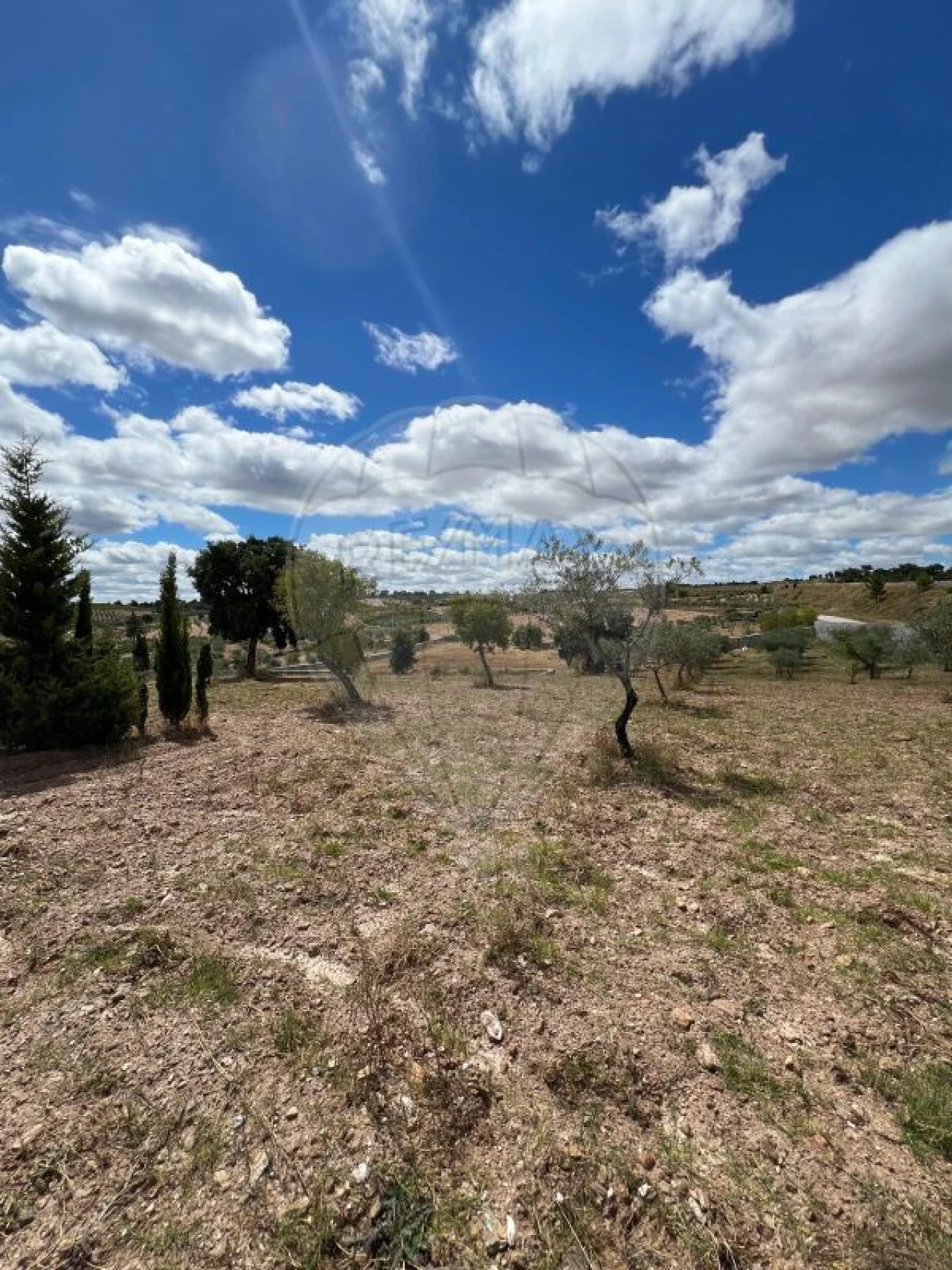 Terreno para Venda em Suçães Foto 2