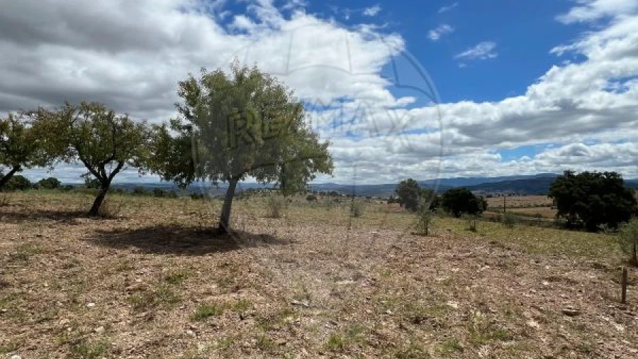 Terreno para Venda em Suçães